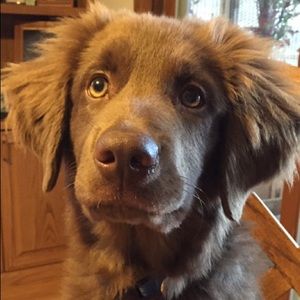 Meet your Posher, Lori